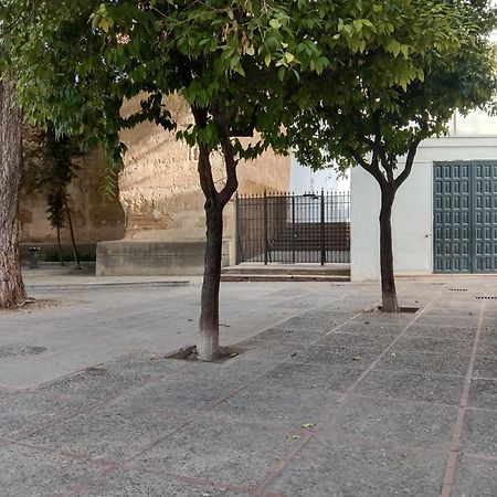Ferienwohnung Casa Mnuela - Centro Jerez - Parking Opcional Jerez de la Frontera Exterior foto