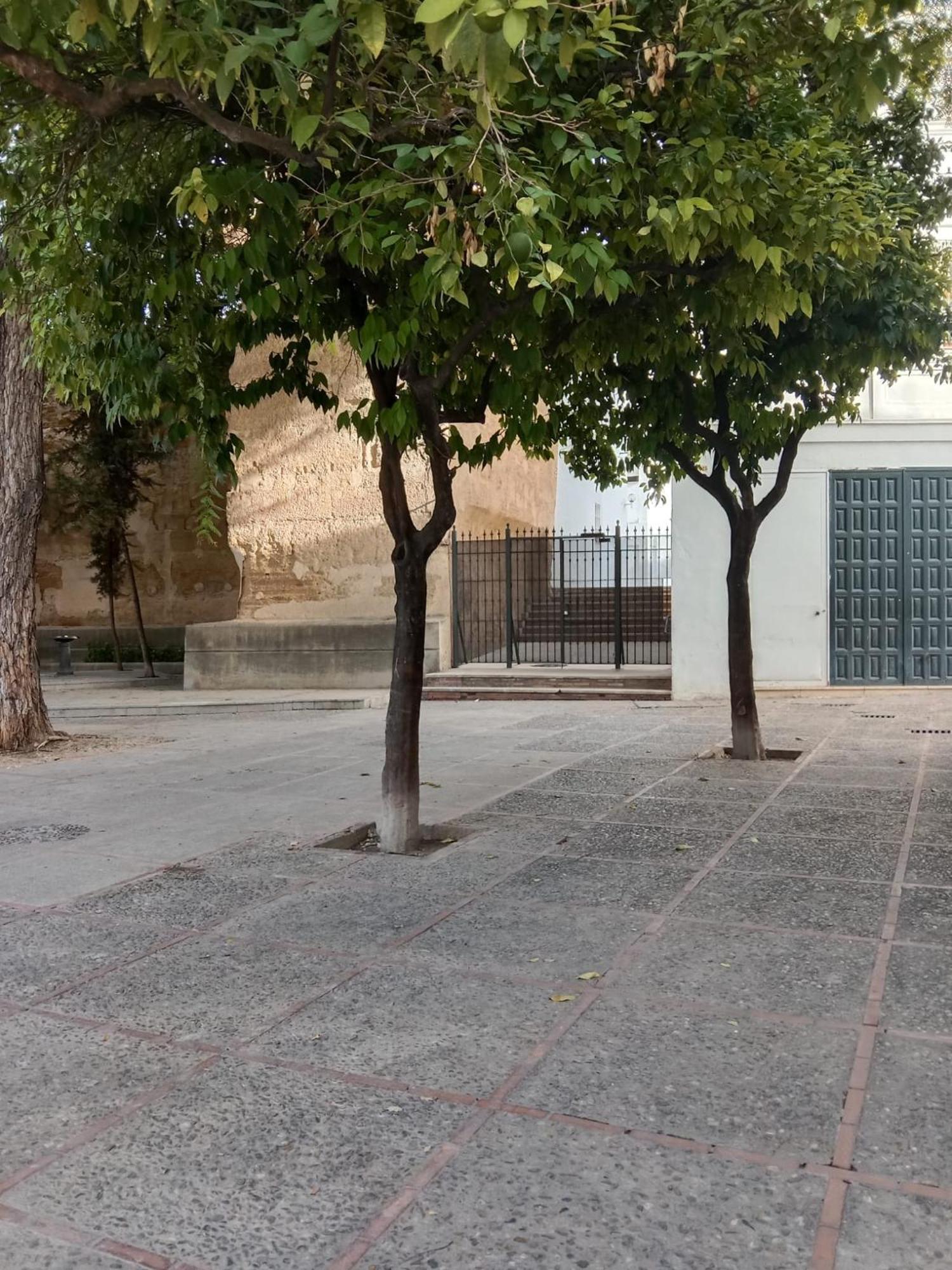 Ferienwohnung Casa Mnuela - Centro Jerez - Parking Opcional Jerez de la Frontera Exterior foto